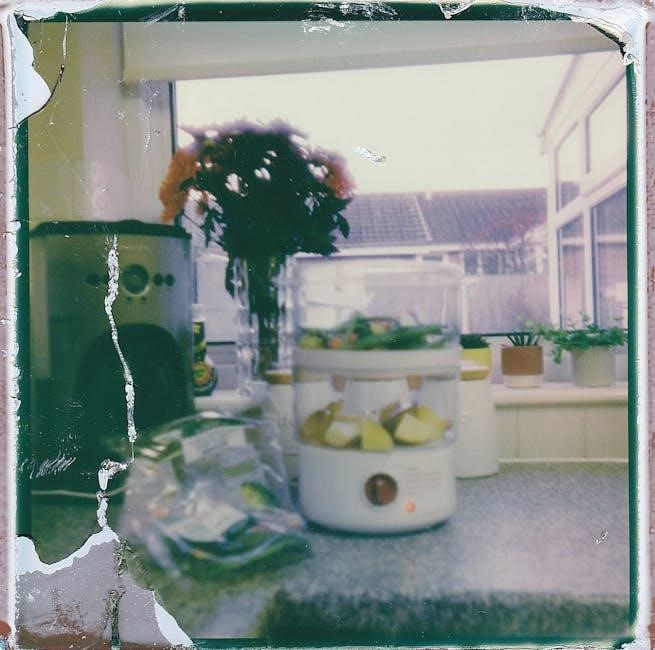 oster steamer manual