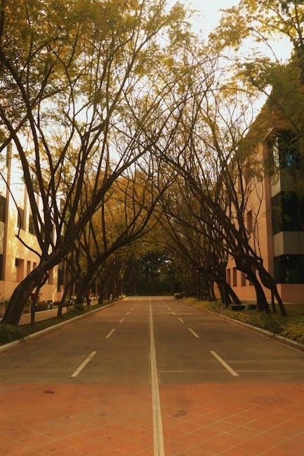 divergent filetype pdf